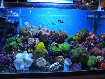 響應(yīng)式網(wǎng)站建設(shè)