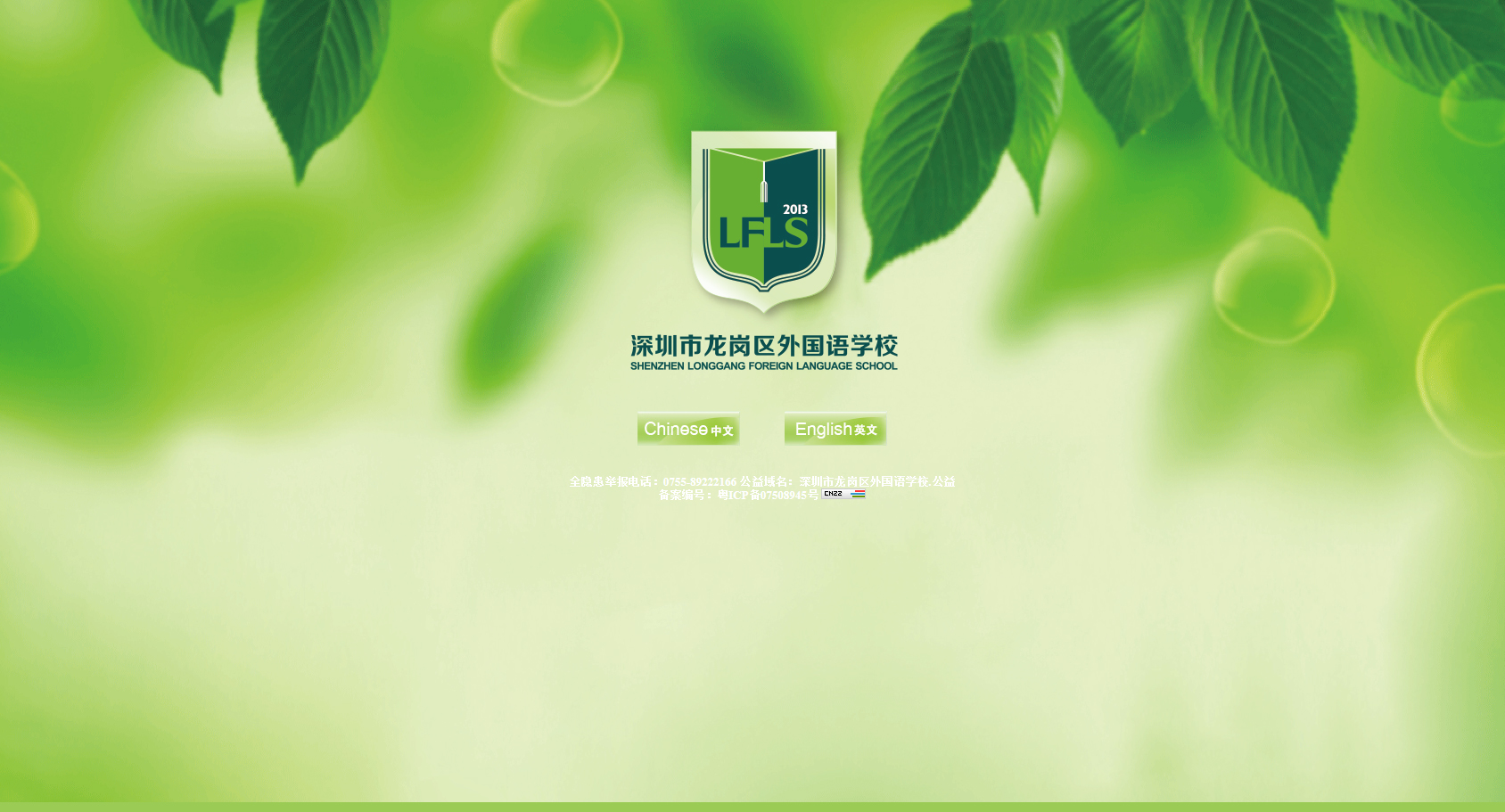 龍崗網(wǎng)站推廣_龍崗seo__龍崗網(wǎng)站優(yōu)化-外國語學校網(wǎng)站效果圖【深一集團】